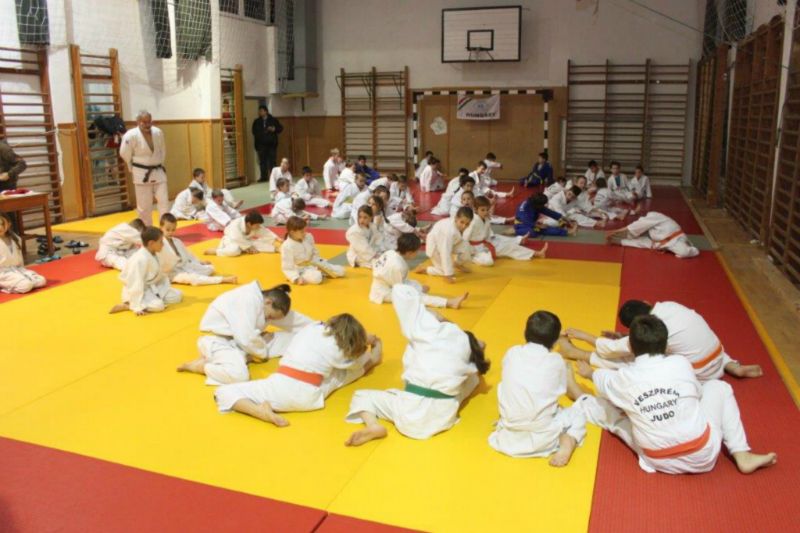 2013 12 05 VEJSE MIULaS KUPA 1 