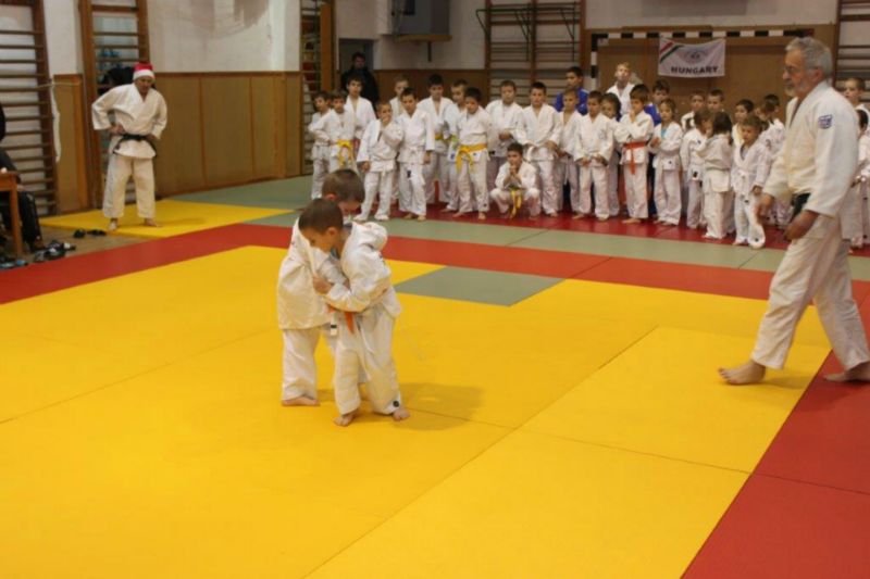 2013 12 05 VEJSE MIULaS KUPA 14 