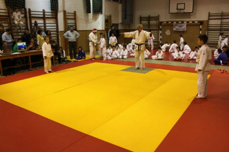 2013 12 05 VEJSE MIULaS KUPA 21 