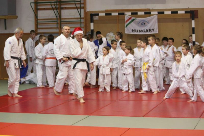 2013 12 05 VEJSE MIULaS KUPA 8 